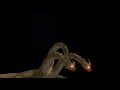 Ghidorah S Gravity Beams