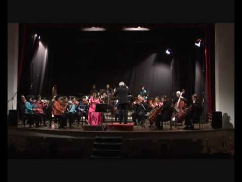 Tan Dun Crouching Tiger Concerto (2) - Hsin Hsiao-hung (erhu) & City Chamber Orchestra of Hong Kong
