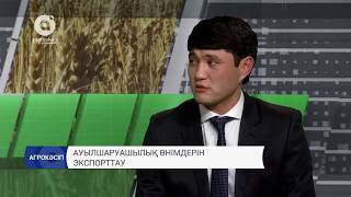Ауыл шаруашылық өнімдерін экспорттау