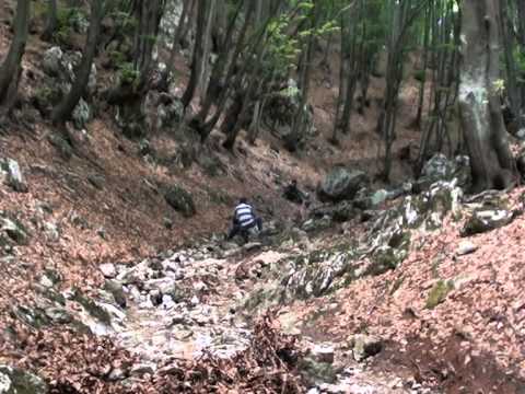 La cirese ... pe la Grui (Motru Sec)