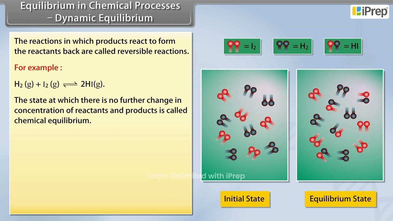 Equilibrium in Chemical Processes–Dynamic Equilibrium I | Equilibrium | Chemistry | Class 11th