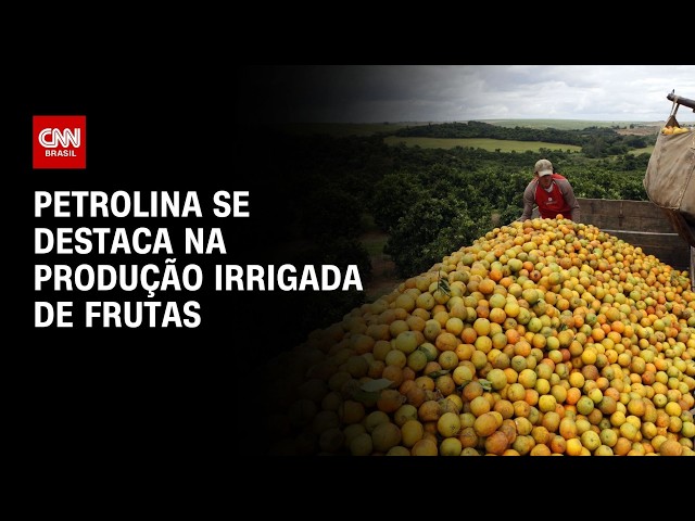 Conexão Agro: Petrolina se destaca na produção irrigada de frutas | CNN PRIME TIME