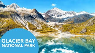 Cruise Glacier Bay National Park in Alaska | What to Expect