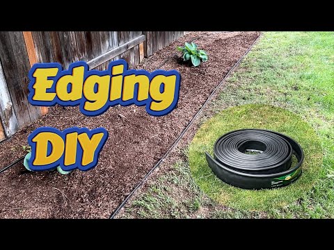 Installing plastic lawn edging.