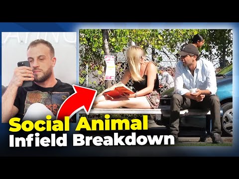 Social Animal Cold Approach Skills Reviewed (Infield Breakdown)