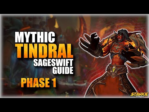 Mythic Tindral Phase 1 Guide | Dragonflight 10.2 Amirdrassil