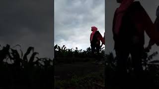 Download lagu Story wa 30 detik|| Ngelabur langit #Short Gadis desa mp3 Download lagu Story wa 30 detik|| Ngelabur langit #Short Gadis desa mp3