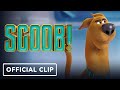 Scoob!: "The Dog Wonder" Clip (2020) - Will Forte, Mark Wahlberg