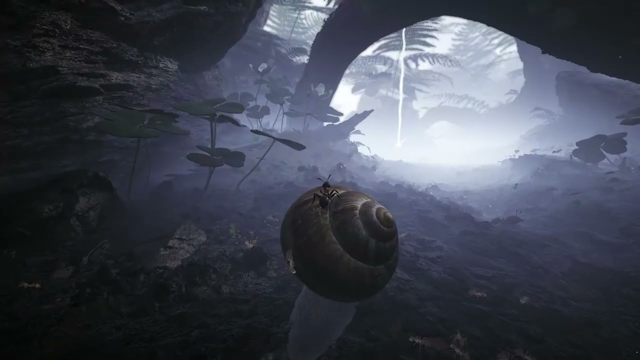 YouTube video: YouTube video player