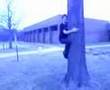 Tree Hug