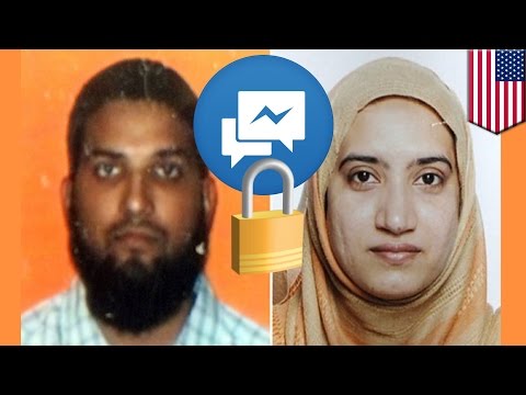 San Bernardino shootings: Farook and Malik talked jihad in private, not public posts - TomoNews