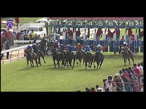 RM11 R4 | From The Ashes | C.Gomez