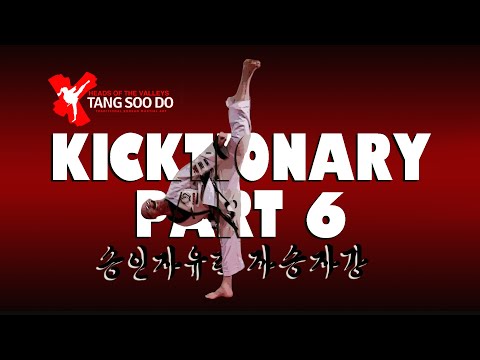 Tang Soo Do  Kicktionary Part 6 (500 KICKS)