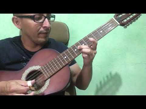 Carreador - Tião Carreiro e Praiano