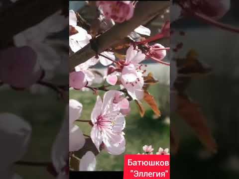 Стихотворение Батюшкова "Эллегия"