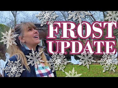 FROST-UPDATE - plötzliche wieder Winter ???