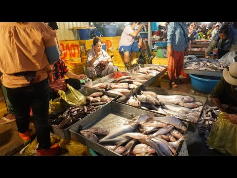 Prek Phnov Bridge Fish Market in Early Morning - Second Site Distribute Fish, Dry Fish, Sea Food