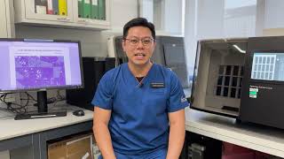 RAPIER: AI assistant to detect Metabolic Dysfunction-Associated Steatotic Liver Disease