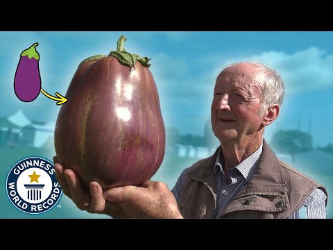 The Amazing Giant Vegetable Showdown You Never Knew About
