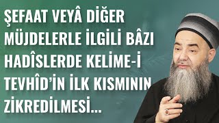 Şefaat veyâ Diğer Müjdelerle İlgili Bâzı Hadîslerde Kelime-i Tevhîd'in İlk Kısmının Zikredilmesi...