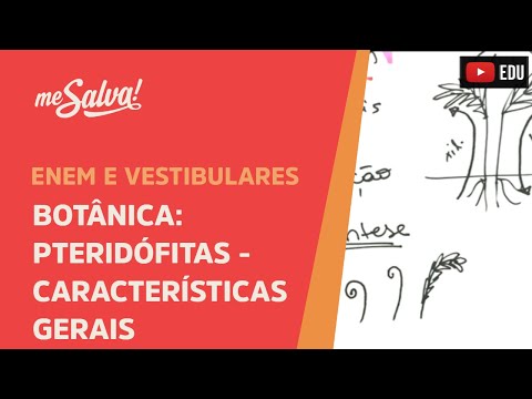 Me Salva! BOT05 - Botânica - Pteridófitas: características gerais