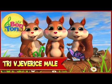 Tri vjeverice male ♪ Dječje pjesme - Pjesme za djecu o životinjama | BonTon TV