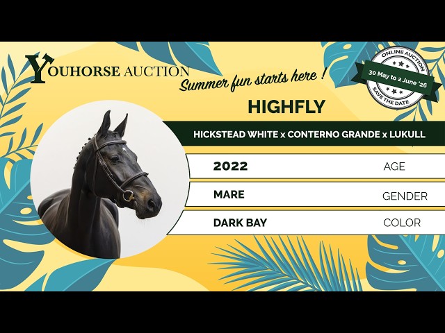 Highfly impression video