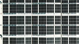 Green Factory - Lazzoni Furniture