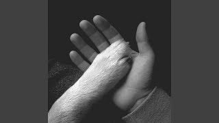 Love Me Like I&#39;m Gone.