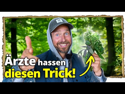 Die Top 9 Heilpflanzen für die Hausapotheke im Herbst & Winter