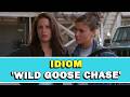 Idiom Wild Goose Chase Meaning