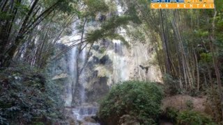 preview picture of video 'Tumalog Falls, Oslob, Cebu'