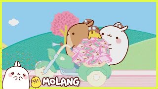 Molang - The side-car