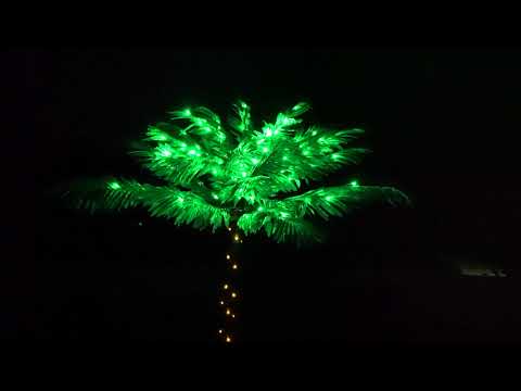 YouTube video about: Why you don't put lights on palm trees?