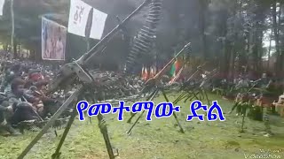 Download lagu Anchor news update ''የመተማው ድል ትልቅ ነው። በዚህ ቁጥር የአብይ ሰራዊት ተደምስሶ አያውቅም'' የአፋብሃ ሰሜን ቀጠና በላይ ዘለቀ ዕዝ mp3