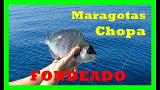 🚤Jornadas de PESCA Fondeado🚤