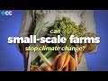 Can Small Scale Farming Feed The World
