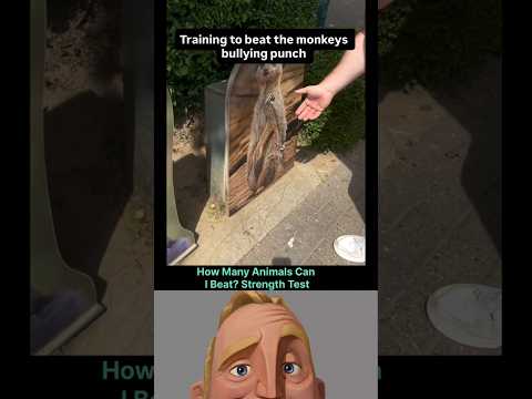 Ultimate Strength Test: Animal Power Challenge #shorts #ytshorts #facts #wildlife #explore