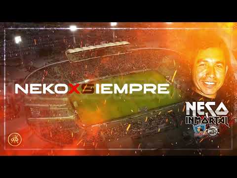 FABIAN RIVEROS - NEKOXSIEMPRE X VARIOS ARTISTAS