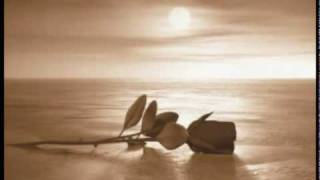ANDREA DELBO  - MI ALL