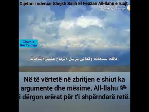 🌨Argumente dhe mësime në zbritjen e shiut. 🎙Shejkh Feuzani Allahu e ruajtë💎