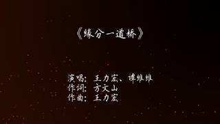 王力宏、谭维维 《缘分一道桥》歌词版（《长城》片尾曲）