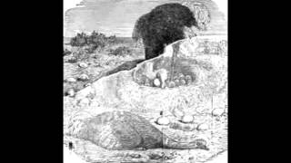 Loose End - Every Time I Fall