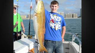 Redfish PREVIEW