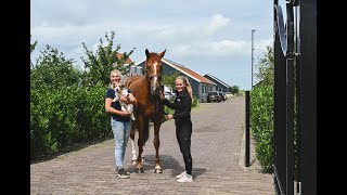 Nano CellCare therapeuten Willeke & Jill van Stal 104