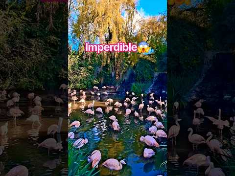 PARADOR MINOTAURO #shorts #shortsviral #shortvideo #shortsyoutube #subscribe #shortsfeed