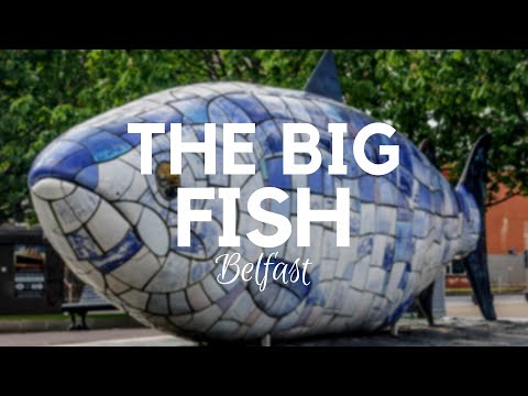 The Big Fish Sculpture in Belfast - 360 Degree Video Video