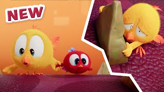 NEW Chicky’s New Toy | Where's Chicky? | Cartoon Collection in English for Kids | New episodes
