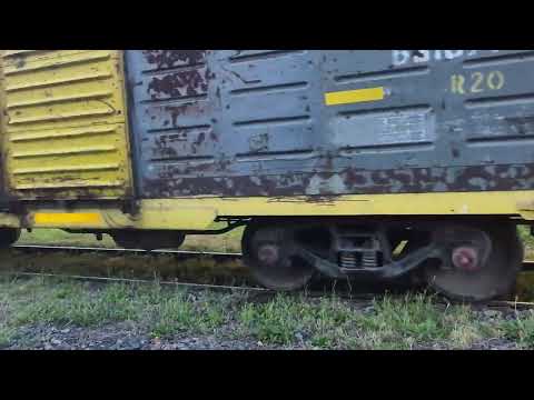 TRENES ARGENTINOS CARGAS,San Martin, Tren rumbo a Playa Alianza y Puerto La Plata. 