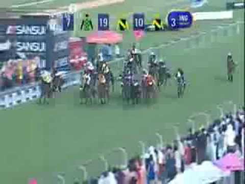 2013.11.30 Sansui Summer Cup - Yorker